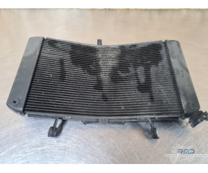 Yamaha FZ8 2010 à 2016 