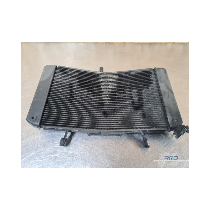 Yamaha FZ8 2010 à 2016 