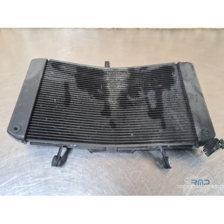 Yamaha FZ8 2010 à 2016 