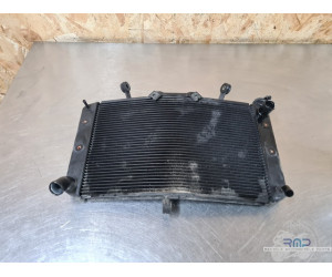 Yamaha FZ8 2010 à 2016 