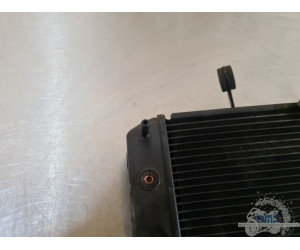 Yamaha FZ8 2010 à 2016 