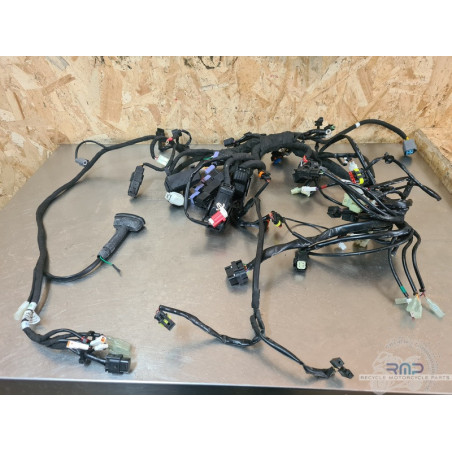 Faisceau électrique principal KTM 890 SMT 2023 à 2026 