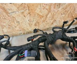 Faisceau électrique principal KTM 890 SMT 2023 à 2026 