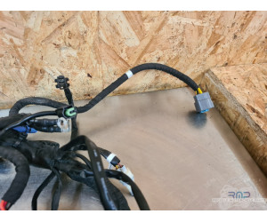 Faisceau électrique principal KTM 890 SMT 2023 à 2026 