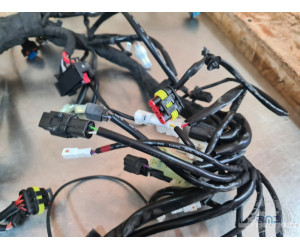 Faisceau électrique principal KTM 890 SMT 2023 à 2026 