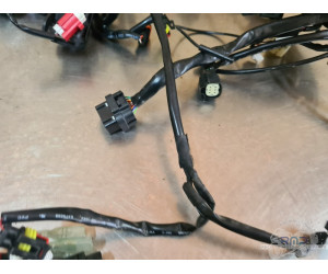 Faisceau électrique principal KTM 890 SMT 2023 à 2026 