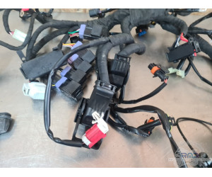 Faisceau électrique principal KTM 890 SMT 2023 à 2026 