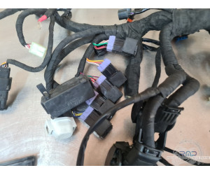 Faisceau électrique principal KTM 890 SMT 2023 à 2026 