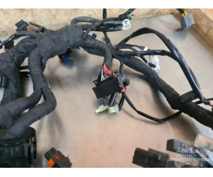 Faisceau électrique principal KTM 890 SMT 2023 à 2026 