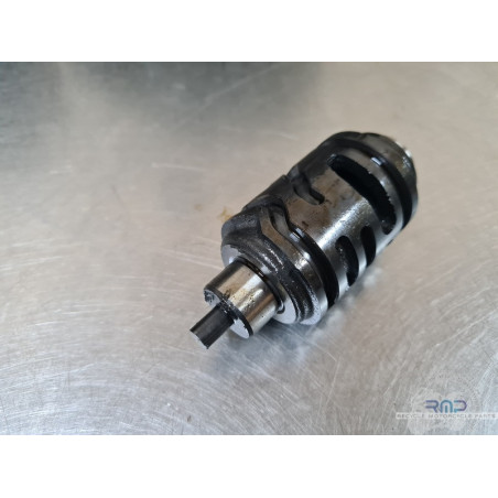 Husqvarna 401 Vitpilen 2020 à 2024 