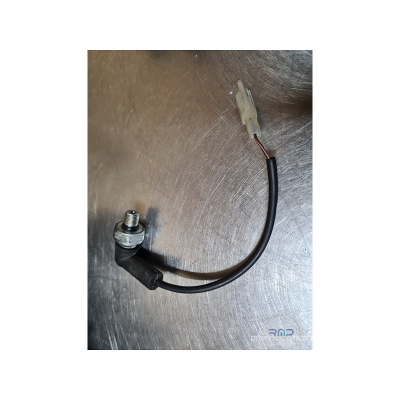 Husqvarna 401 Vitpilen 2020 à 2024 