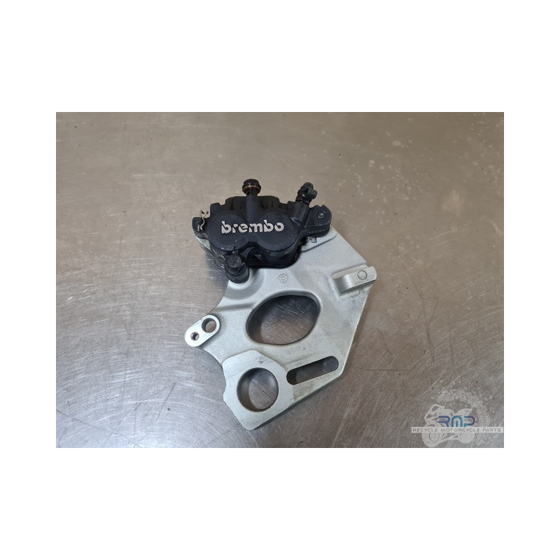 Ducati  937 DesertX 2022 à 2025 