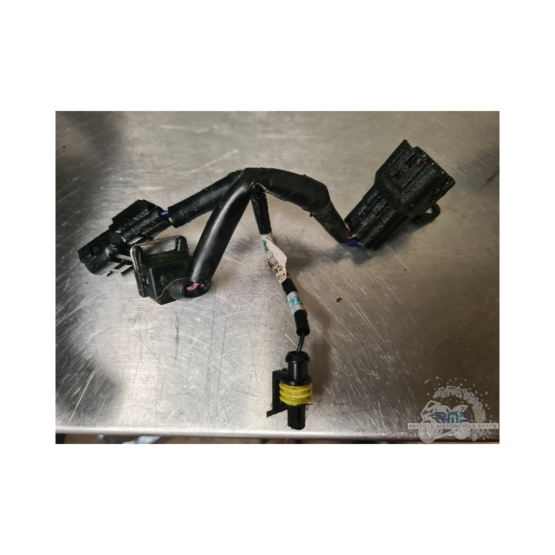 Faisceau moteur Triumph Street Triple 660 S 