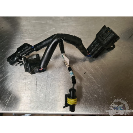 Faisceau moteur Triumph Street Triple 660 S 