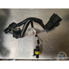 Faisceau moteur Triumph Street Triple 660 S 