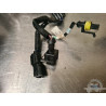 Faisceau moteur Triumph Street Triple 660 S 