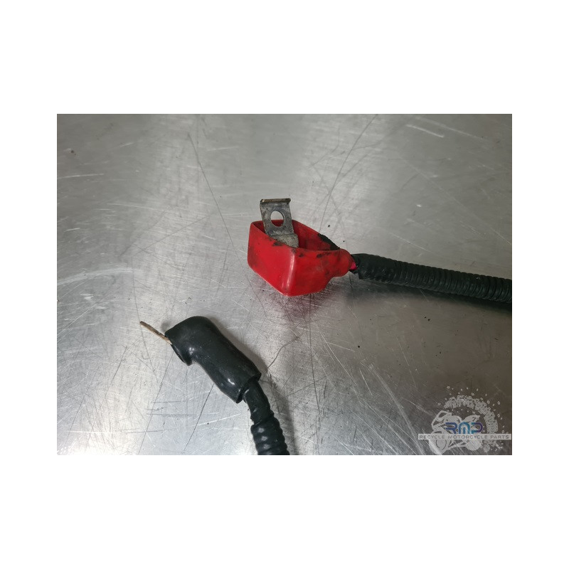 Câble Compteur (câble De Compteur) Pour Suzuki Bandit 1200 – Compatible SIFAM – Neuf Sous Blister