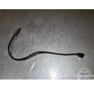 Sonde lambda Triumph Speed Triple 1050 RS 2016 à 2021 