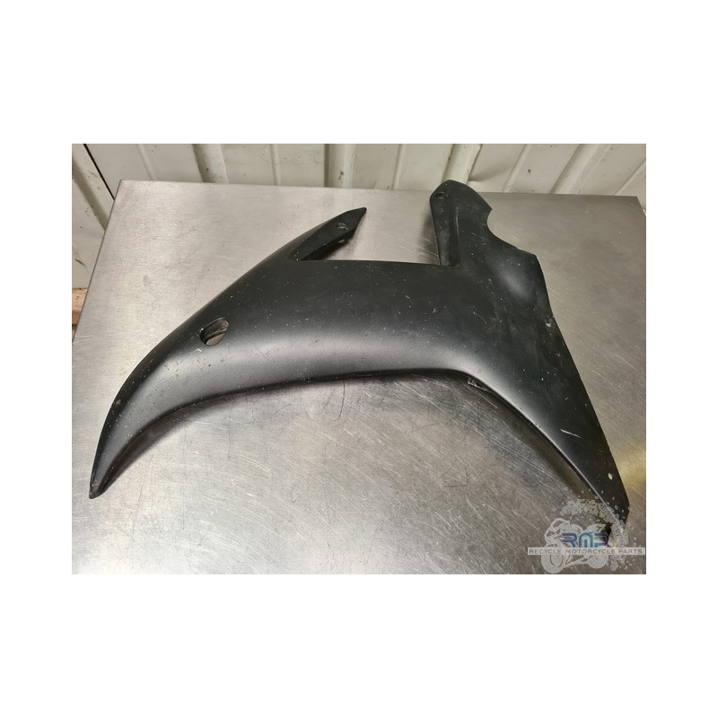 Flanc de carénage  gauche 
