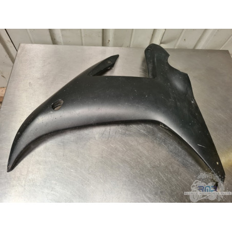 Flanc de carénage  gauche 