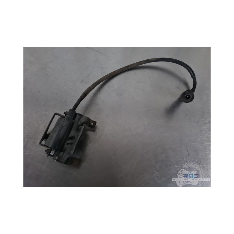 Bobine d'allumage longue Yamaha XV 125 Virago 1997 à 2004 
