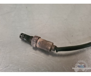 Sonde lambda Triumph Daytona 675 2009 à 2012 