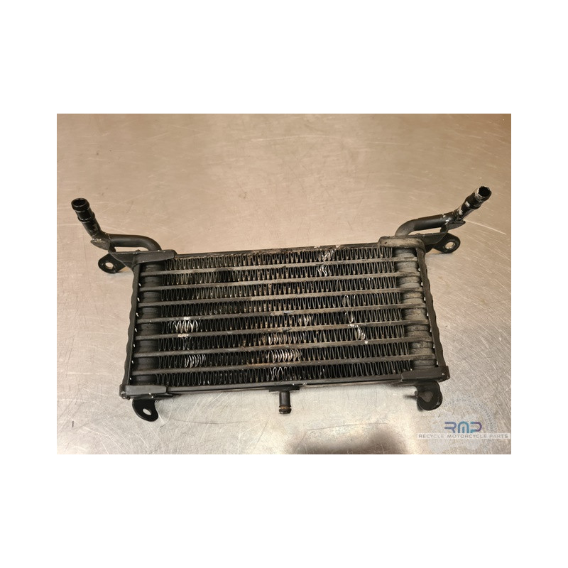 Radiateur d'huile BMW S1000RR 2009 à 2014 