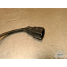 Sonde lambda x2 Kawasaki ZX6R 2007 à 2008 