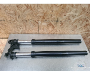 Paire de tube de fourche KTM 690 Duke 3 2008 à 2011 