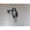 Honda 600 CBF 2004 à 2007 