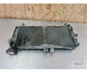 Honda 600 CBF 2004 à 2007 