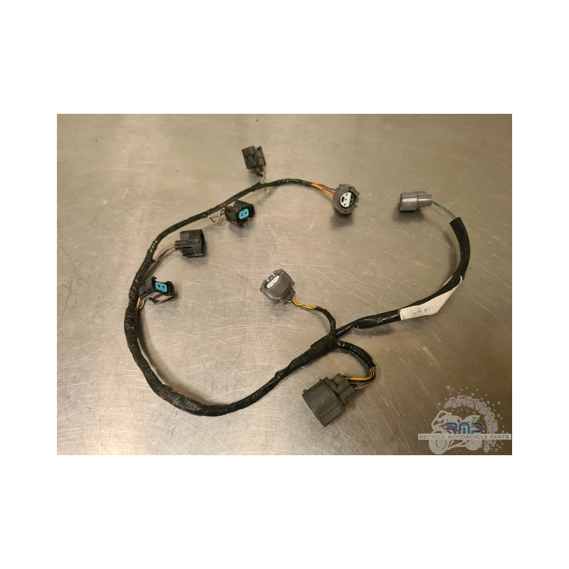 Faisceau d'injection Honda 600 CBR FS 1999 à 2002 