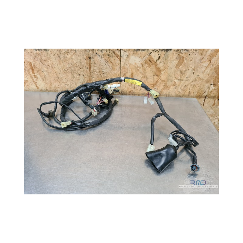Faisceau électrique principal Yamaha FZ6 N 2004 à 2006 