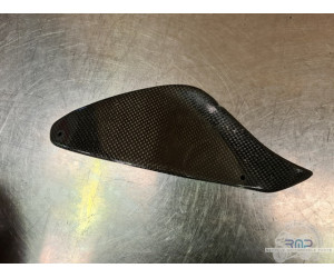 Cache carbone MV Agusta 1078 Brutal 2008 à 2009 