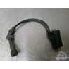 Bobine Suzuki SV 650 1999 à 2002 