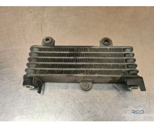 Radiateur d'huile Suzuki Vstrom 1000 2002 à 2007 