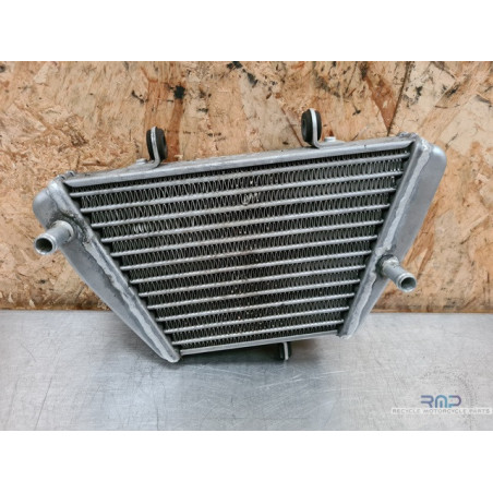 Radiateur d'huile Aprilia RSV4 APRC Factory 2009 à 2014 