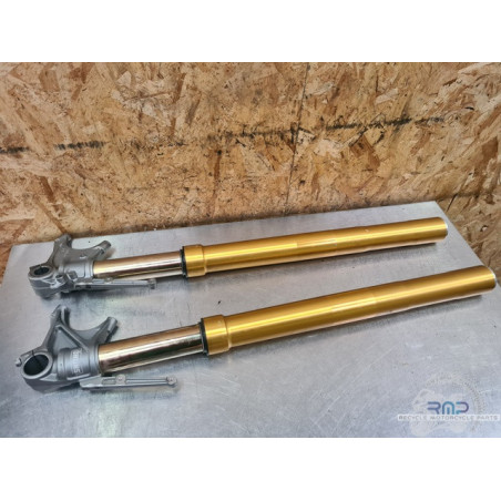 Paire de tube de fourche Ohlins Ducati Multistarda 1260 Pikes Peak 2015 à 2020 