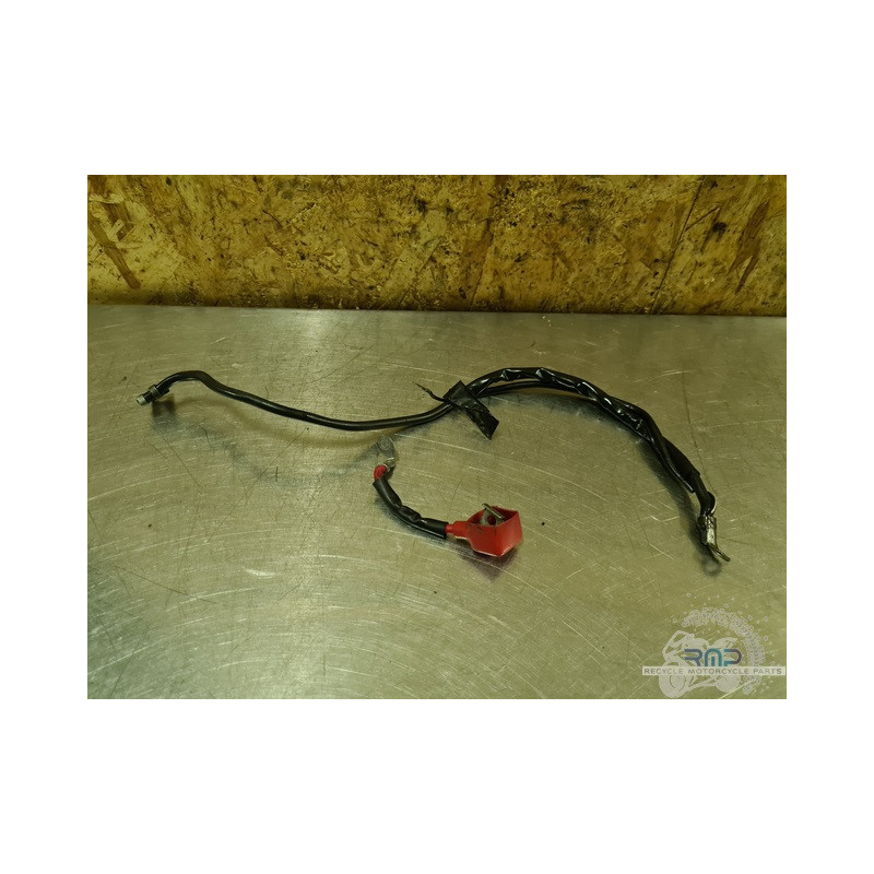Cable de masse Suzuki 650 SV N 2003 à 2009 