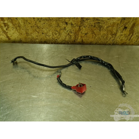 Cable de masse Suzuki 650 SV N 2003 à 2009 