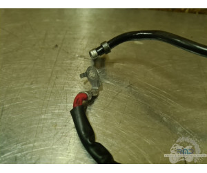 Cable de masse Suzuki 650 SV N 2003 à 2009 