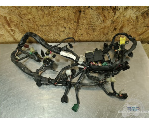 Faisceau électrique principal Suzuki 650 SV N 2003 à 2009 