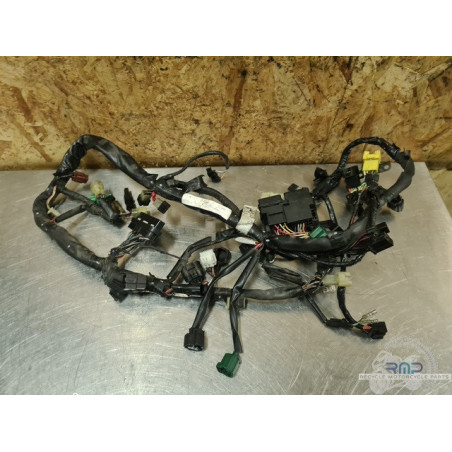 Faisceau électrique principal Suzuki 650 SV N 2003 à 2009 