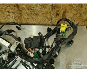 Faisceau électrique principal Suzuki 650 SV N 2003 à 2009 