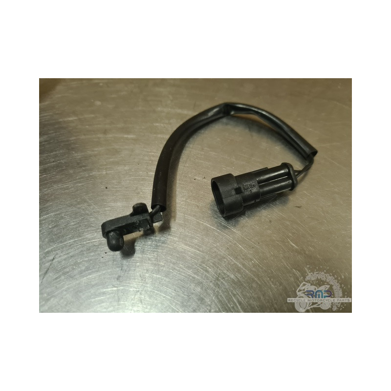 Aprilia ETV 1000 Caponord 2004 a 2012 