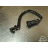 Aprilia ETV 1000 Caponord 2004 a 2012 