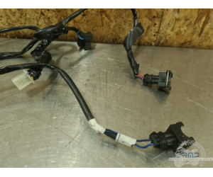 Aprilia ETV 1000 Caponord 2004 a 2012 