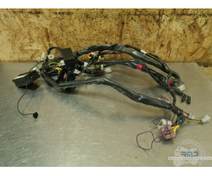Faisceau électrique principal Aprilia ETV 1000 Caponord 2004 a 2012 