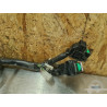 Faisceaumoteur Aprilia ETV 1000 Caponord 2004 a 2012 