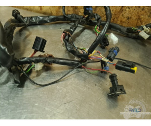 Faisceaumoteur Aprilia ETV 1000 Caponord 2004 a 2012 